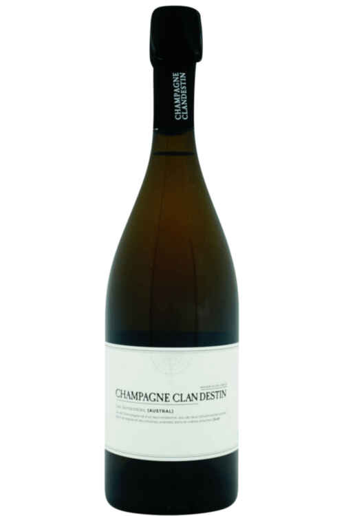 Clandestin Austral