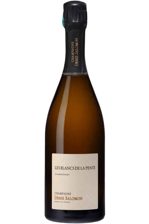 Denis Salomon Les Blancs de la Pente