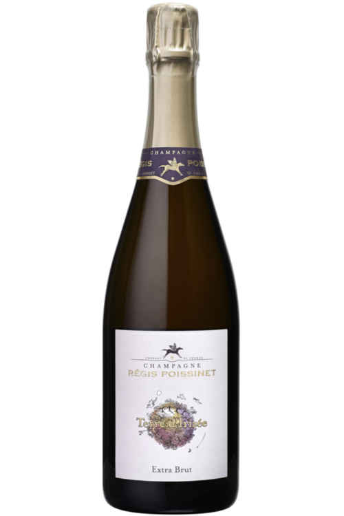 Regis Poissinet Terre d'Irizee